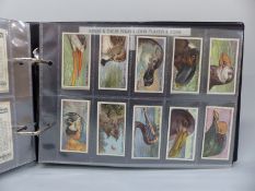 Two collectors albums of largely Players cigarette cards, one dogs,