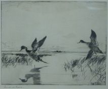 Frank W Benson (American 1862-1951) signed etching 'Pair of Pintails',