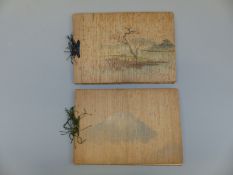 Two Japanese books 'Japanese Views' vol I and III