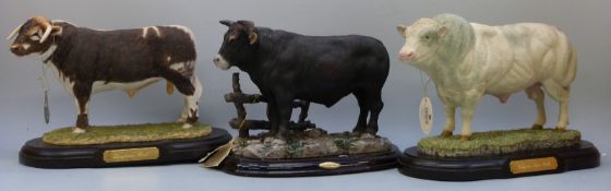 Naturecraft Longhorn and Belgian Blue bulls and a Juliana bull