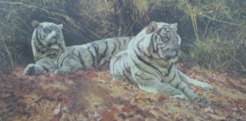 Anthony Gibbs 'White Tigers Ever Watchful', signed limited edition (713/1550) print,