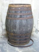 An exceptionally large,