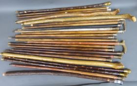 Approximately 25 walking sticks/canes including multiple silver topped examples, carved,