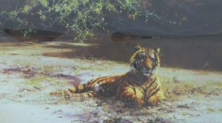 David Shepherd 'Indian Siesta, Tiger Resting' signed limited edition (473 / 1300) print,