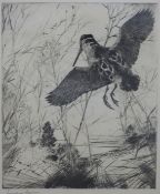 Frank W Benson (American 1862-1951) signed etching 'Woodcock',
