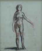 Michael D'Aguilar (1924-2011) charcoal and coloured chalk on paper nude, 30 x 25cm,