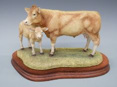 Border Fine Arts cow and calf figure probably Charolais or Blonde D'Aquitane, on wooden plinth,
