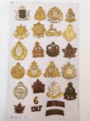 A collection of Canadian military badges including some rarities 128th Overseas Battalion,