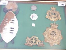 A framed collection of badges and helmet plates to the 24th Regiment of Foot,