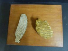 A quantity of fossils, mammoth teeth etc,