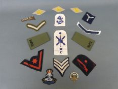 Hampshire Regiment cap badge and various military insignia