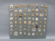 A display of 70 WWI British Infantry cap badges including Royal Dublin Fusiliers, Leinster,