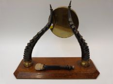 A taxidermy antelope horn table gong mounted on oak base,