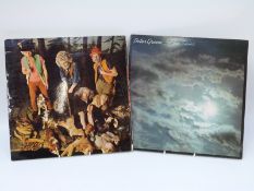 Peter Green In The Skies album,