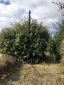 A cast iron Victorian/Victorian style street lamp base Situated nearest to house,