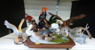A collection of bird figures including Royal Doulton New Arrival, continental parrot, Royal Osborne,