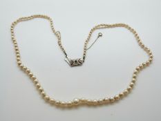 A single strand of pearls with 9ct white gold clasp set with an emerald and diamonds