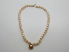 A two strand pearl bracelet with 9ct gold clasp in the form of a flower set with a further pearl