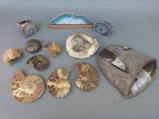 A quantity of fossil and geological samples including polished agate, cross sections of fossils,