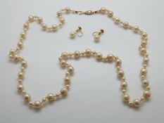 A single strand of cultured pearls with alternating large and small pearls and 9ct gold clasp,