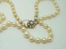A pearl necklace with 14ct gold clasp set with pearls,