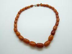 A Baltic amber necklace of graduated barrel shaped beads, largest approximately 1.8 x 1.