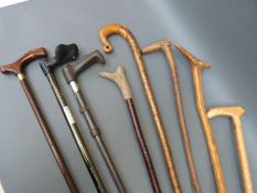 A collection of sticks including shepherds crook,