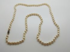 A single strand of cultured pearls with 9ct gold clasp set with a diamond and sapphire