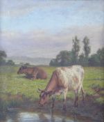 Joseph Dixon Clark (1849-1944) oil on canvas cattle in landscape, one drinking, signed lower right,