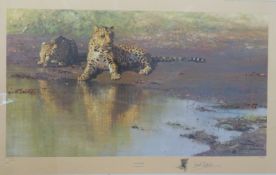David Sheppard OBE signed limited edition print 5 / 850 'Cool Waters', 50 x 82cm,