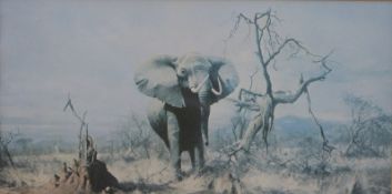 David Shepherd OBE print of an elephant, 15 x 29cm,