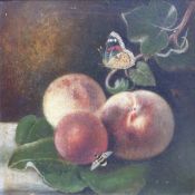 Oil on board fruit with butterfly and bee, 24cm x 24cm,