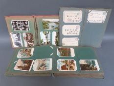 Three albums of postcards including Venice, Rome, French ports, castles,
