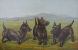 James Buchanan & Co Ltd 'Real Scotch' advertising poster depicting three Scottish Terrier dogs,