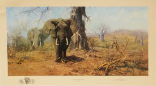 David Shepherd OBE signed limited edition print 476/1100 'Land of the Baobab Trees',