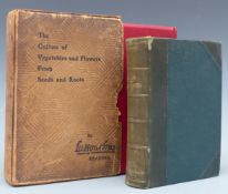 [Colour plate] Familiar Wild Flowers by F.