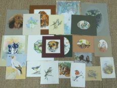 Approximately twenty watercolours, pastels and other pictures of animals and plants including dogs,