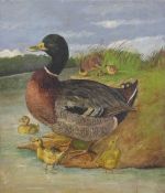 M Hardridge Victorian oil on board ducks with ducklings, signed and dated 1896 lower right,