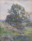 Francis Berry watercolour rural scene 'A Winding Path and a Stony Corner', signed lower right,