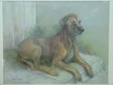 Cecil Elgee pastel of a Great Dane dog, signed lower left,