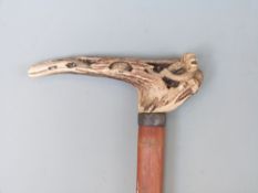 A Chinese bamboo walking stick with carved bone handle depicting a monkey and snake