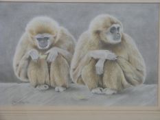 Joan Naughton pencil and coloured drawing of two seated gibbons,