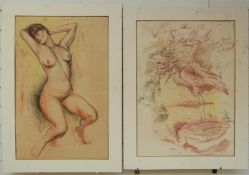 Pastel study of a nude with artist's notes around her and a further study of birds,