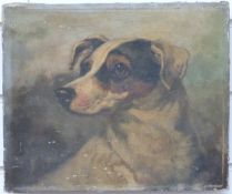 Manner of Herbert William Weekes 19thC oil on canvas head and shoulders of a Jack Russell (from the