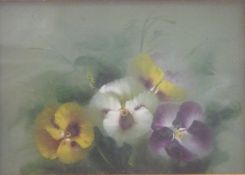 A 19thC oil on board of violas or pansies, 17 x 24cm,
