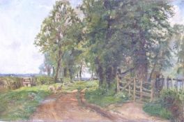 Sidney Grant Rowe (1861-1928) oil on canvas lambs in the lane, signed lower right,