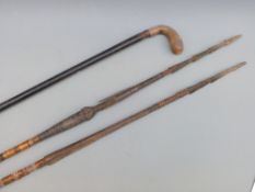 Two Eastern fish spears and a buffalo horn walking stick