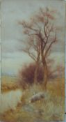 Edwin Bottomley watercolour two sheep by a stream, signed and dated 1905 lower right,