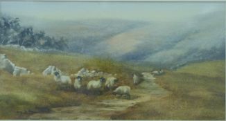 Jean Elliott watercolour 'Mountain Trek' sheep in a hilly landscape, signed lower right,