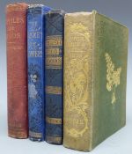 [Natural History] Thomas Moore British Ferns & the Allied Plants with numerous colour plates 1855